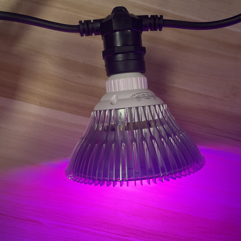 Cabo de LED de 10M à prova d'á - Lighting Decoration Ideas avaliação e preço